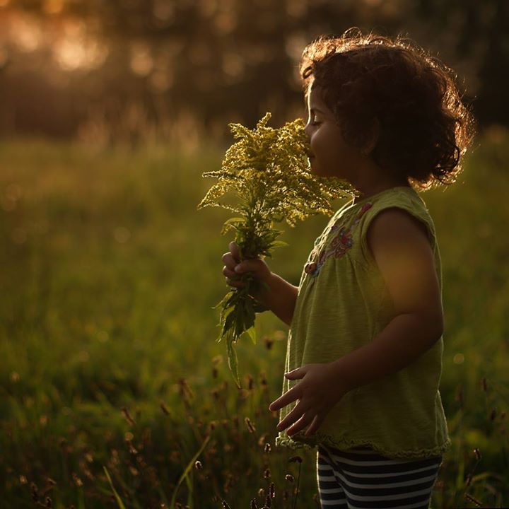 Sentez ma fleur