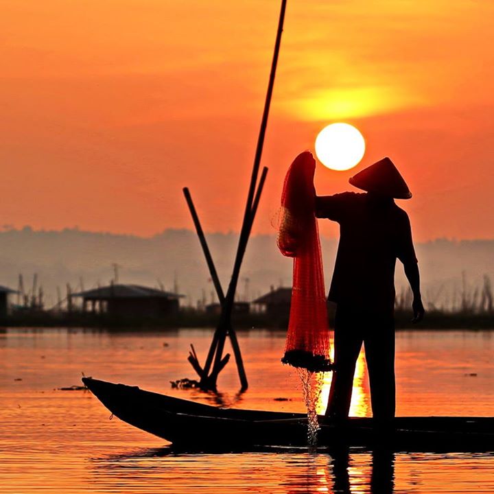 La pêche au soleil
