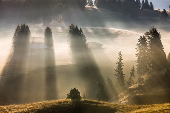 À l’ombre des cyprès