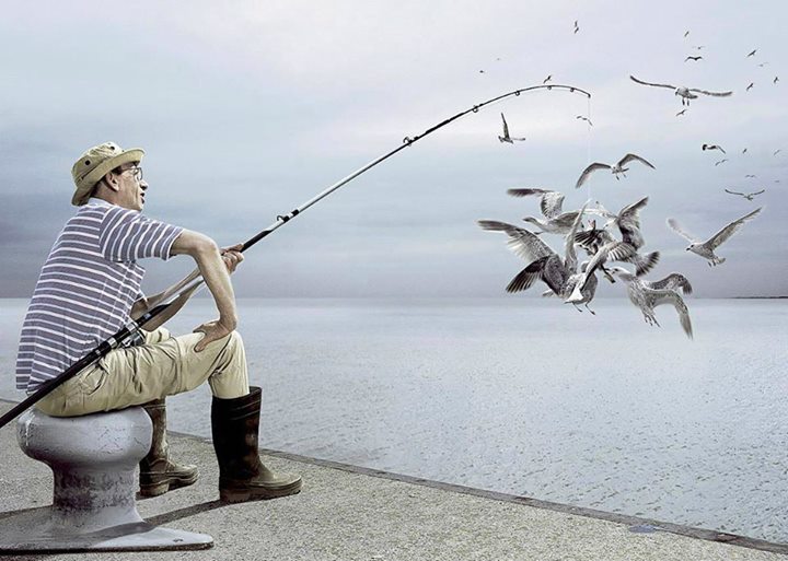 La pêche aux oiseaux