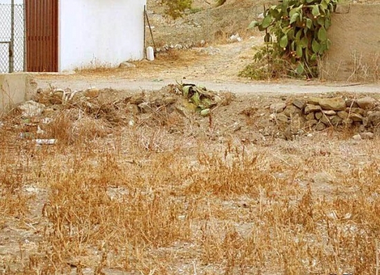 Mais où est le chat ? - 3
