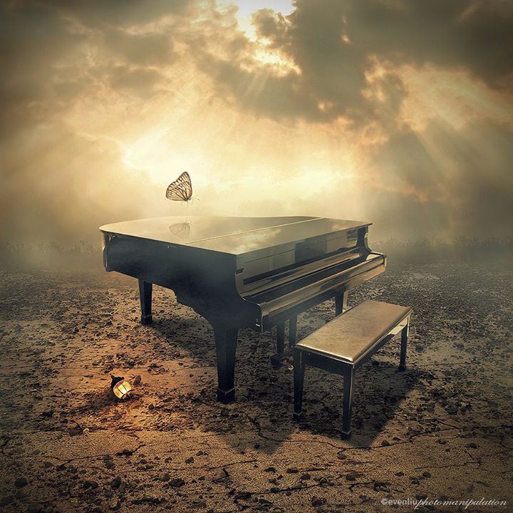 Le concerto papillon