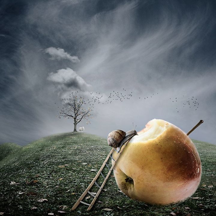 Fin de semaine humaine