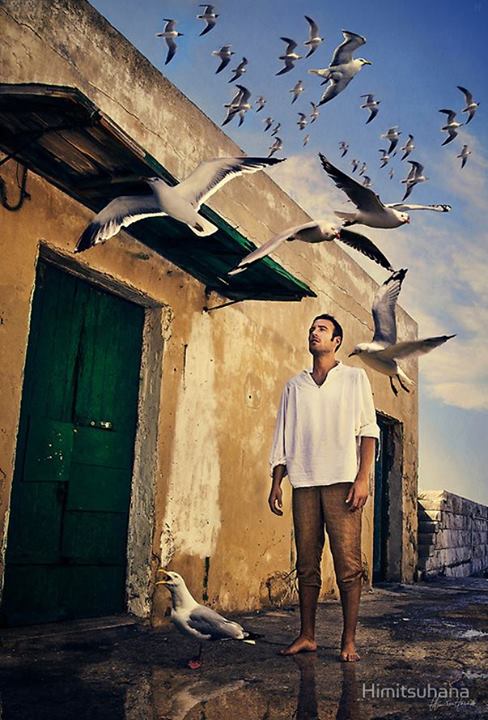 Tous ces oiseaux qui s’envolent