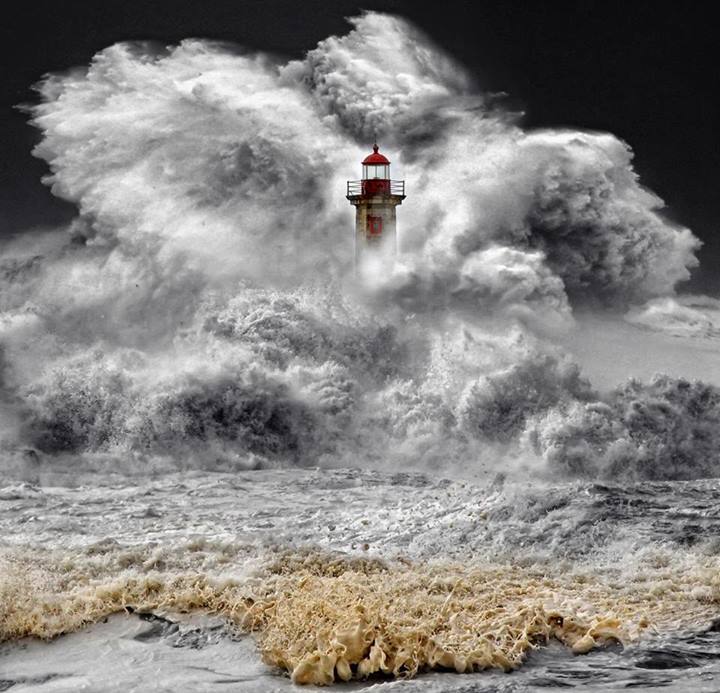 Le rejeton de Neptune