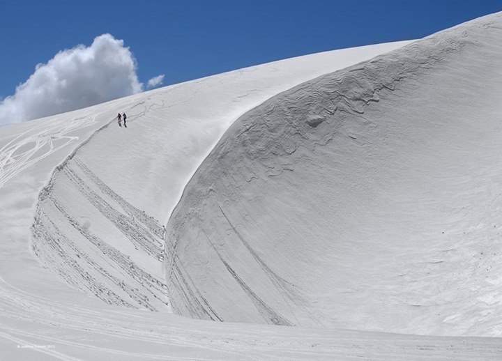 Les chevaux en avalanche