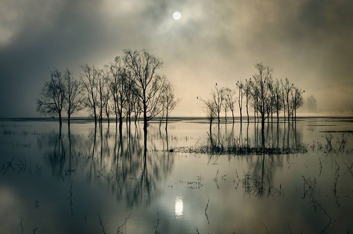 La nature d’argent