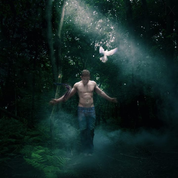 L’oiseau d’intention