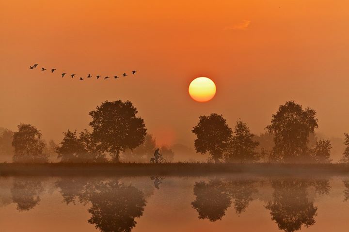 Les oiseaux de Bavière