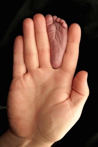 La main du pied-qui-nait