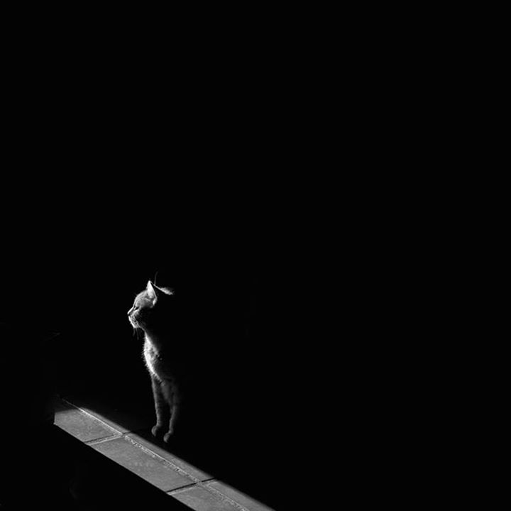 Mes pas vers la lumière