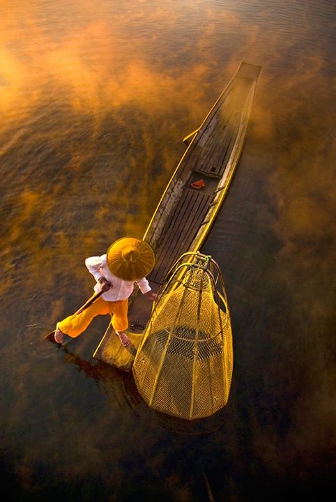 Sur la vague jaune