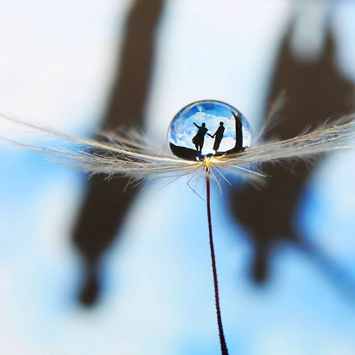 Mon petit nid d’eau