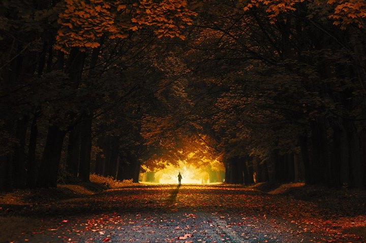 L’Automne helvète