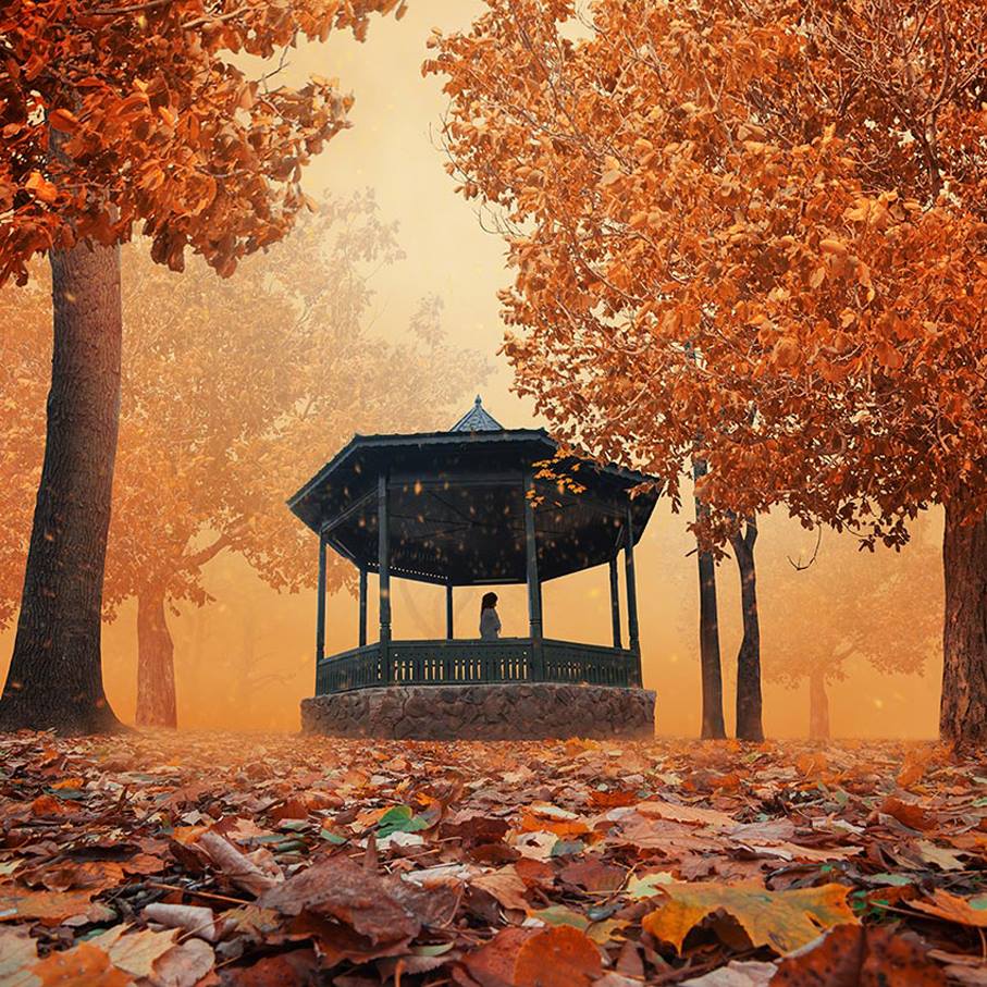 Jardin d’automne