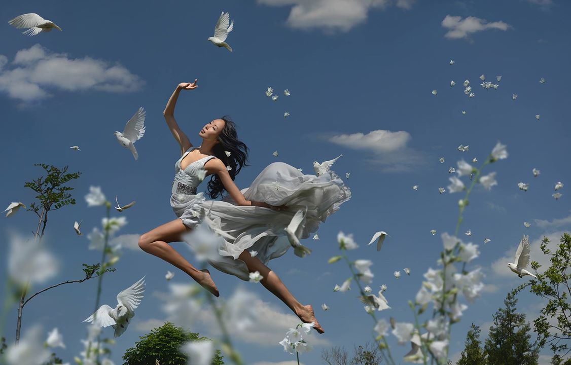 Aime comme l’oiseau