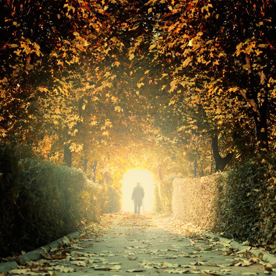 Le chemin de lumière