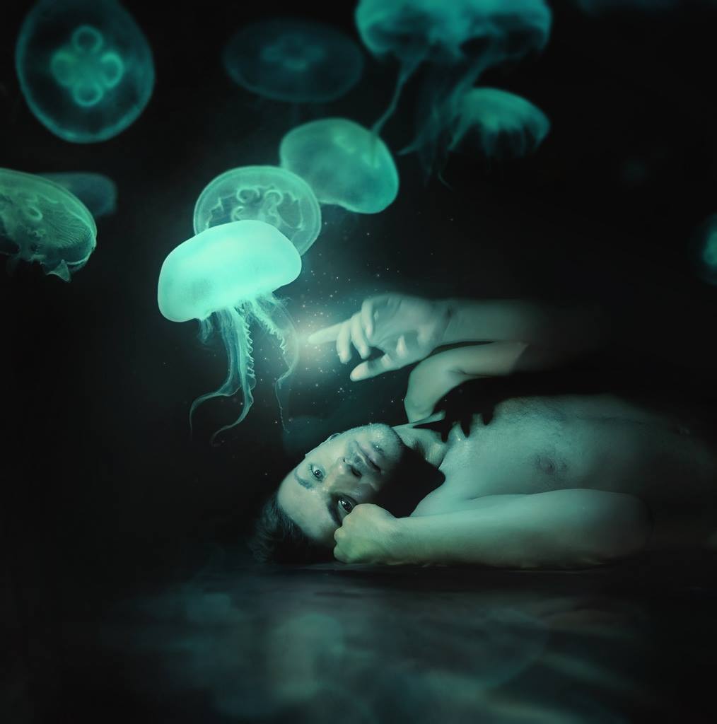 La nuit des méduses
