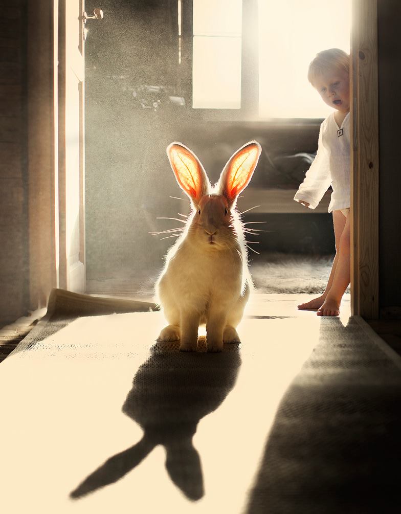 Lapin, tu râles, oh