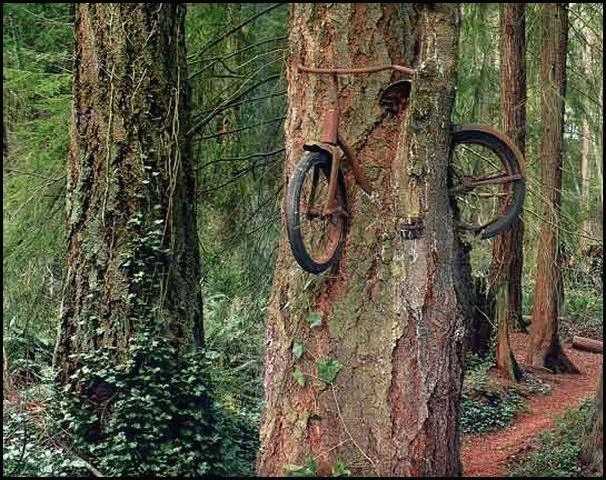 Derrière chez moi, il y a des vélos