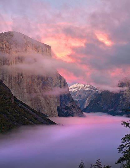 Les belles brumes mauves