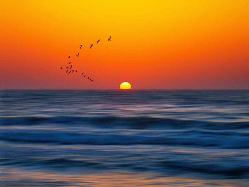 Les auspices du crépuscule