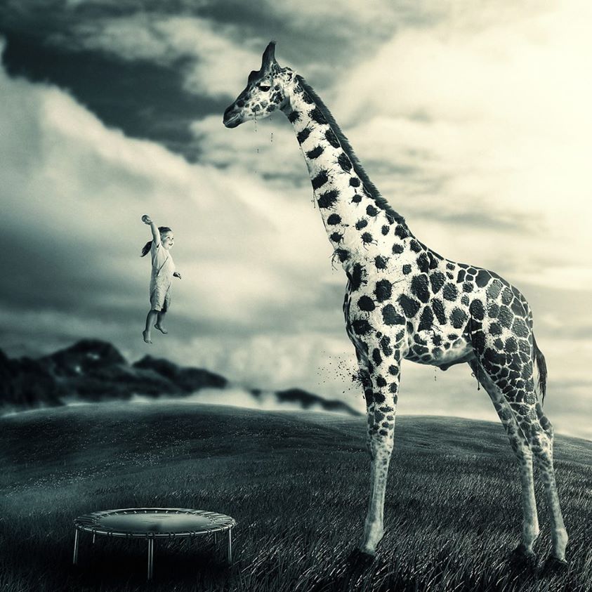 Demain, je coiffe la girafe
