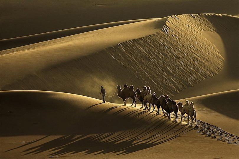 Le caravanier solitaire - 2