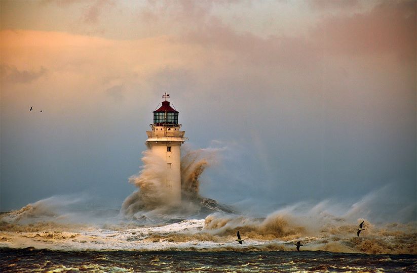 Le petit phare persévérant