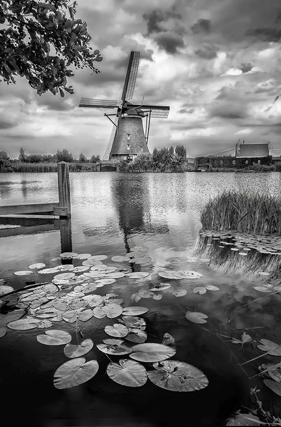 Mon moulin à paroles