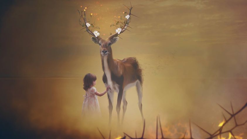 Le cerf aux beaux abois