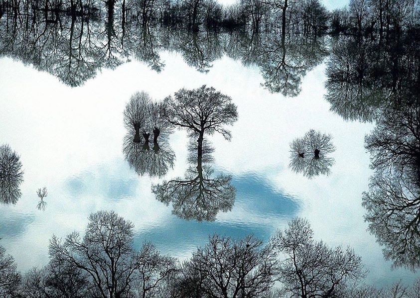 La nature kaléidoscopique