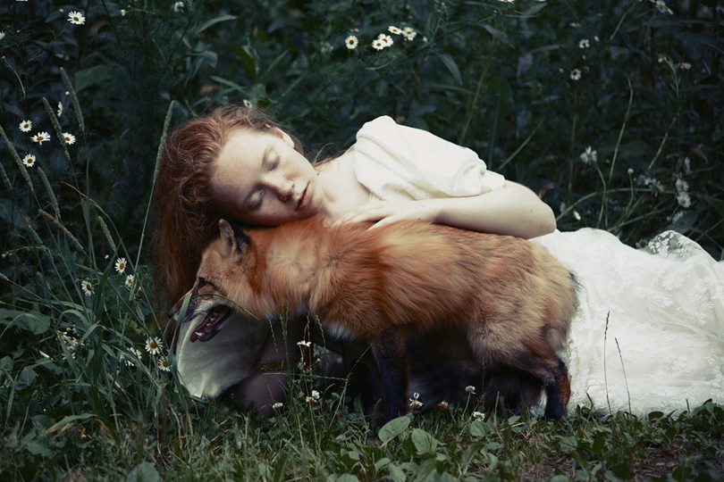 Que renard me plaise