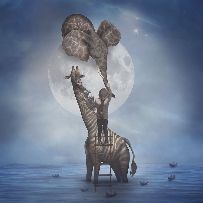 Haro sur l’éléphant