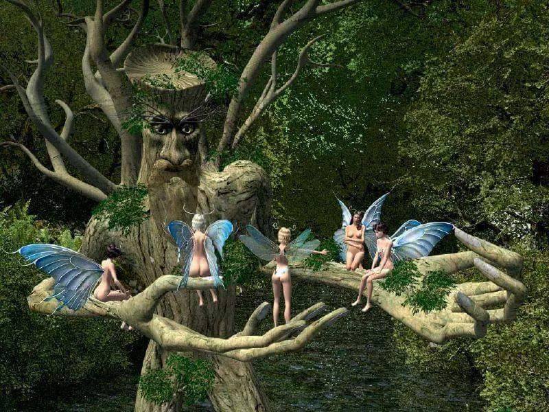 L’arbre aux fées
