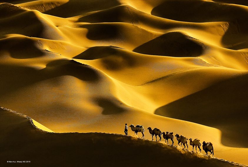 Qu’il est long le chemin