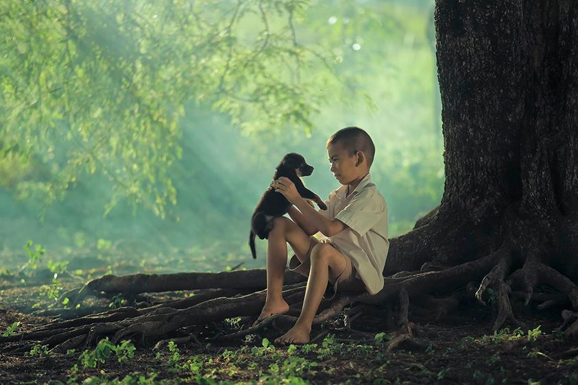 Un chien d’amour