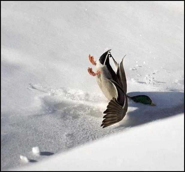 Peur du froid ?