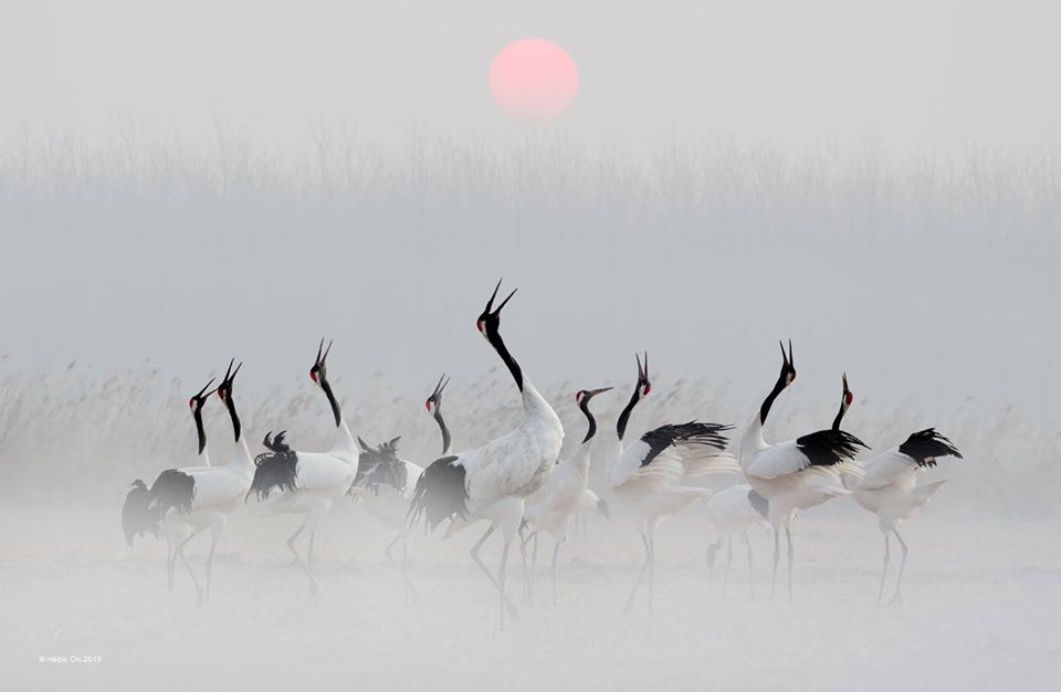 Rencontres au petit matin
