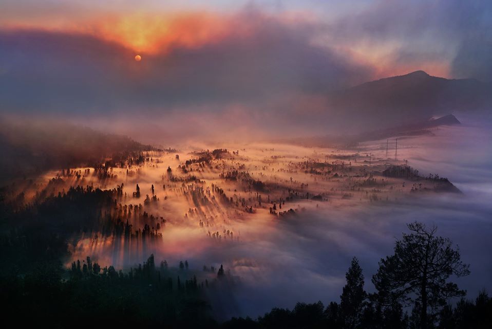 La brume pourpre