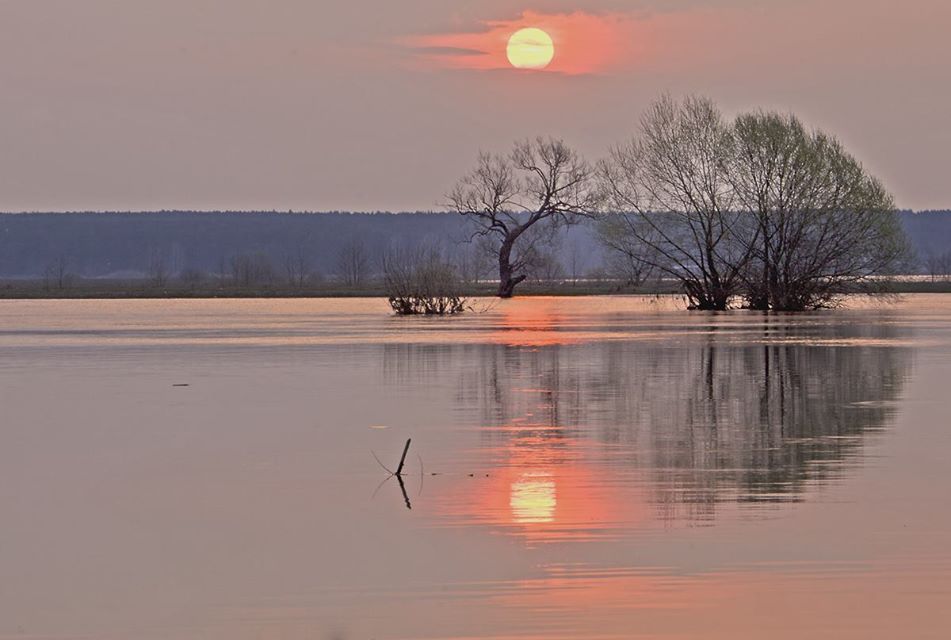 Matin brumeux