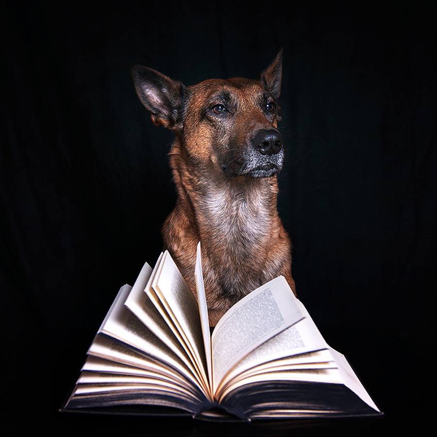 Fidèle à vos livres