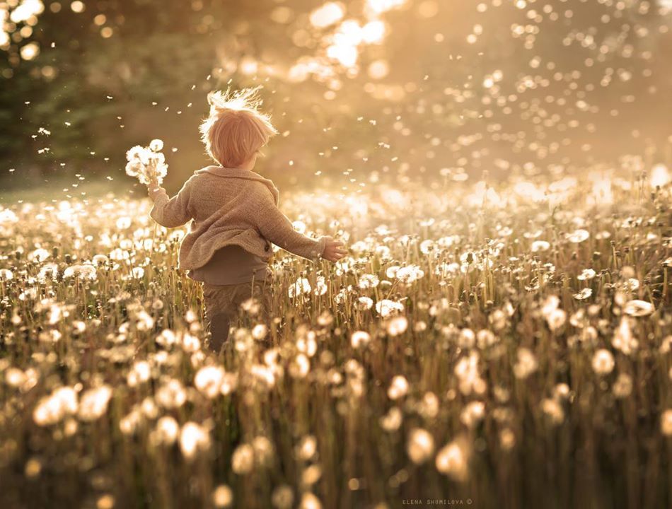 Les fleurs d’enfant