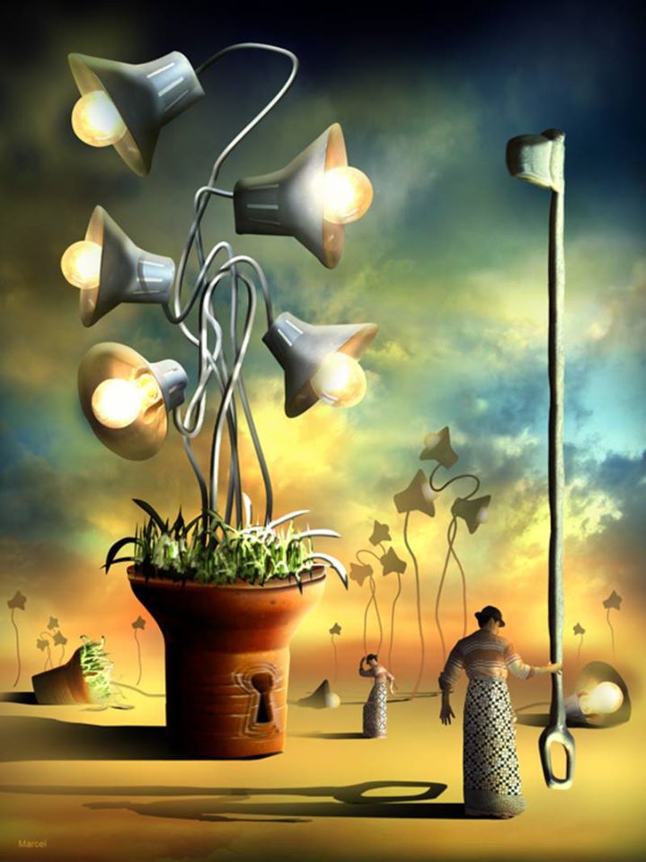 Cultiver la lumière