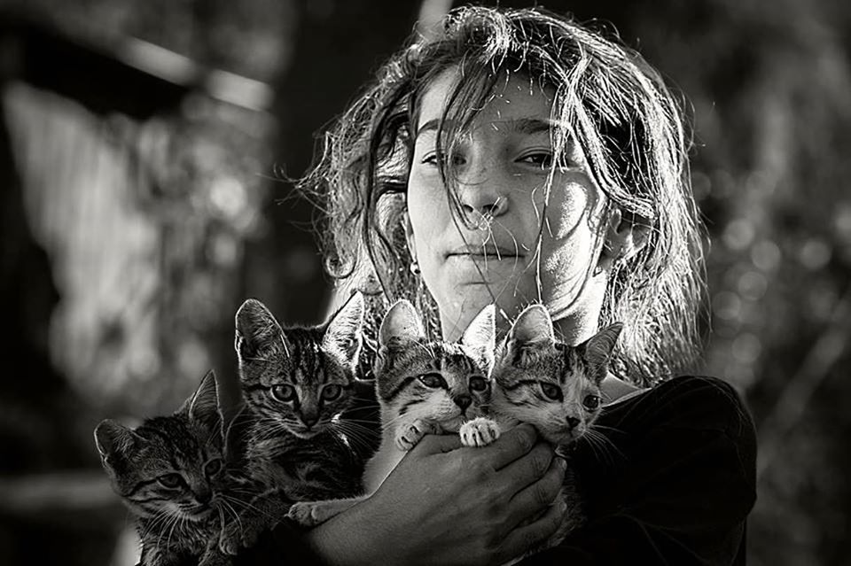 Que sont mes chats devenus ?