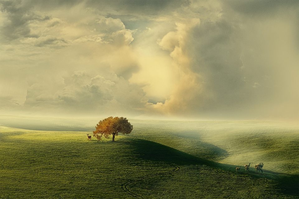 La vague verte