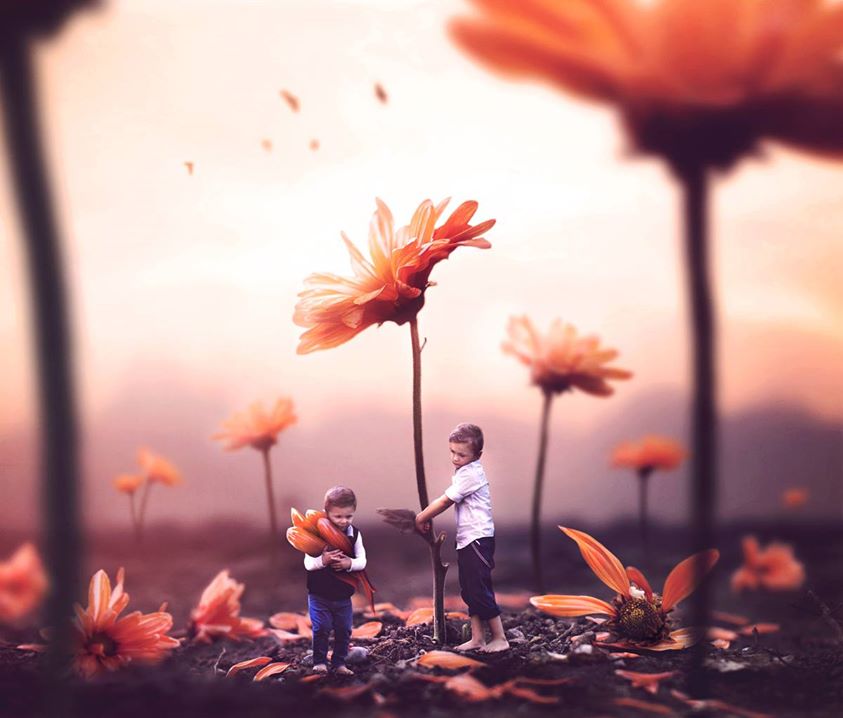Une année, une fleur