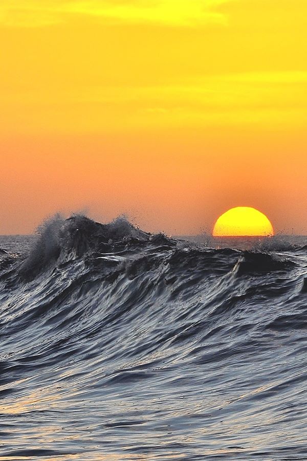 Recette marine