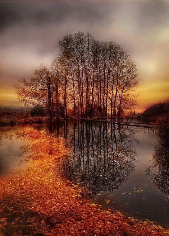 Couleurs d’automne