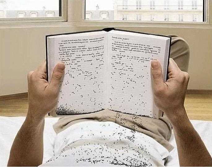 Les médias en collision